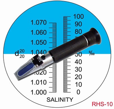 RHS-10 scale