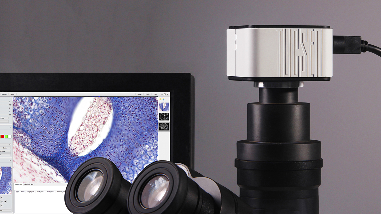 Microscope cameras