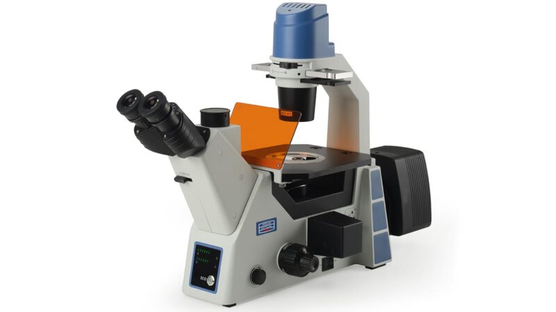 Inverted microscopes